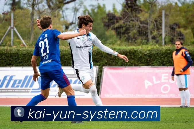 开云平台展示图